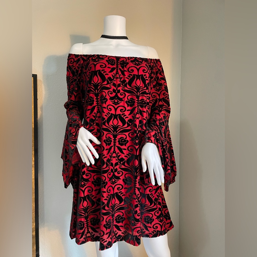 Velvet burnout dress Y2k/whimsy goth/romantic/ Victorian/fairycore /vampire goth